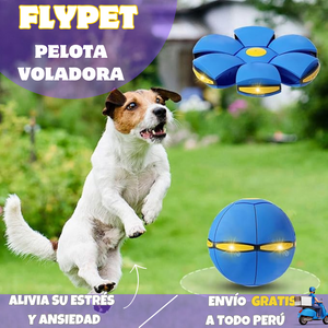 🏀PELOTA VOLADORA  ✨FLYPET