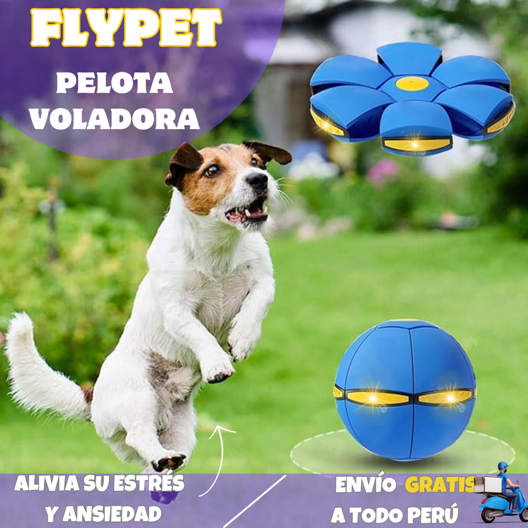 🏀PELOTA VOLADORA  ✨FLYPET